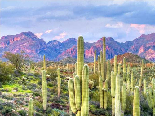 Ghé thăm 14 sa mạc tuyệt đẹp trên thế giới