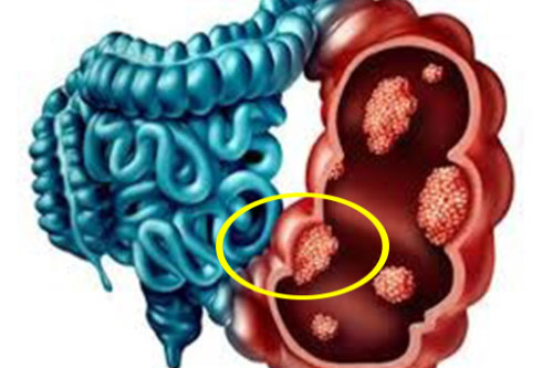 Người có 3 bộ phận này càng sạch thì càng sống thọ