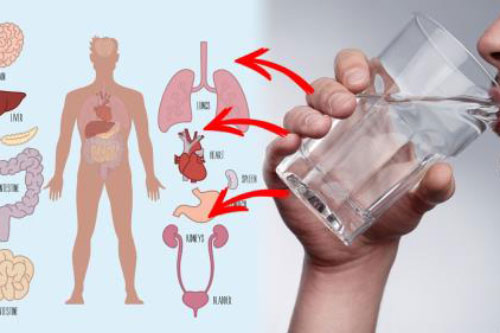 Uống 1 ngụm nước ấm vào đúng khung giờ 'vàng' này còn tốt gấp trăm lần nhân sâm thuốc bổ