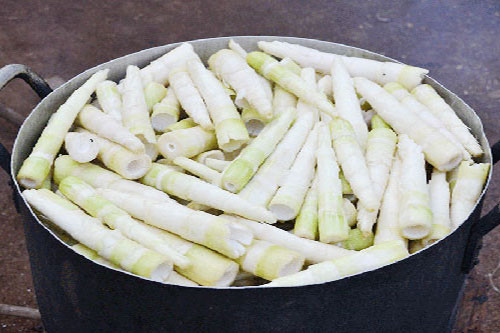 Mách bạn 5 mẹo luộc măng tươi cực chuẩn, không lo bị đắng và độc