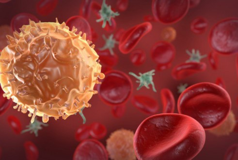 Bác sĩ chỉ 5 cách đơn giản có thể giúp bạn tránh xa ung thư trong 20 năm tới