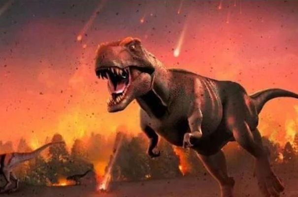 Trái Đất sẽ ra sao khi loài người biến mất?