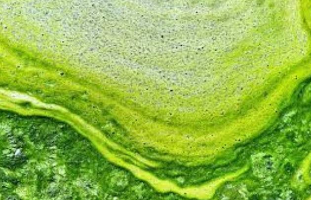 “Tiền đề” để con người sống trên sao Hỏa