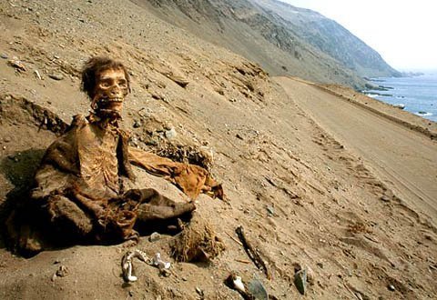 Sa mạc tràn ngập xác khô 7.000 năm tuổi