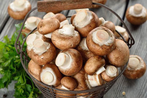 Ăn nấm thường xuyên giúp kéo dài tuổi thọ?