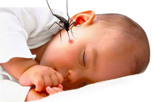 Mẹo dân gian trị muỗi đốt cực nhạy cho trẻ