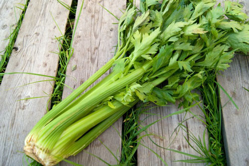 Những loại rau xanh giá rẻ là "thần dược" chống ung thư nhưng người Việt thường xuyên bỏ qua