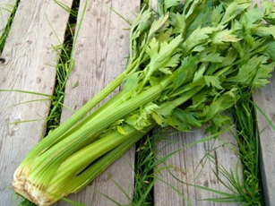 Những loại rau xanh giá rẻ là "thần dược" chống ung thư nhưng người Việt thường xuyên bỏ qua