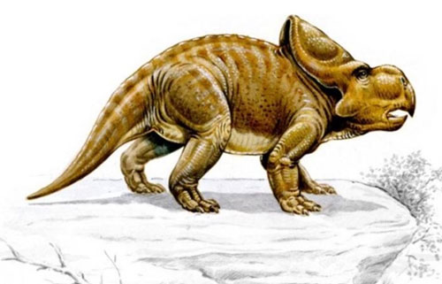 Công cụ đặc biệt mà loài khủng long cổ dùng để tán tỉnh bạn tình