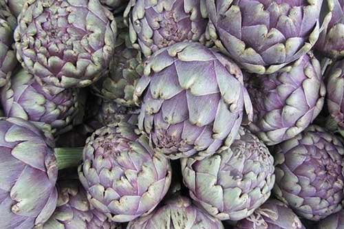 Bất ngờ với tác dụng ngăn ngừa ung thư và chống lão hóa của Atiso