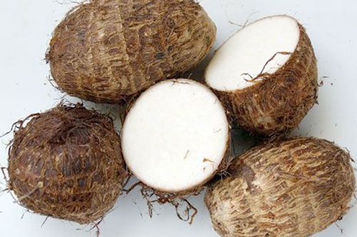 Loại củ hút độc và tiêu diệt khối u chỉ trong 10 ngày đáng kinh ngạc