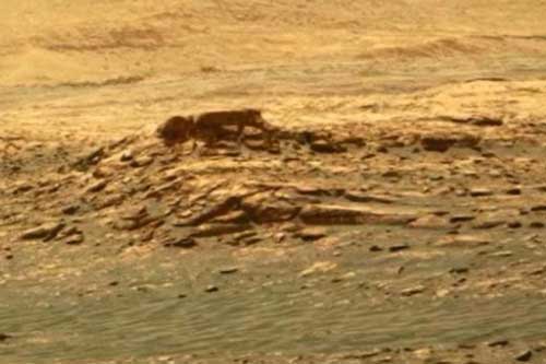 'Giật mình' với hình ảnh về người ngoài hành tinh trên Sao Hỏa