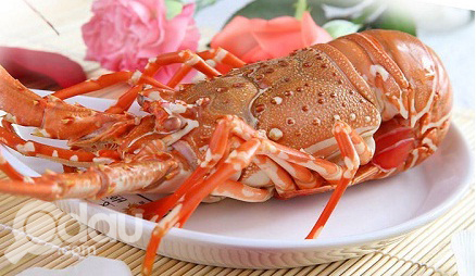 Cách chế biến các món ngon từ tôm hùm