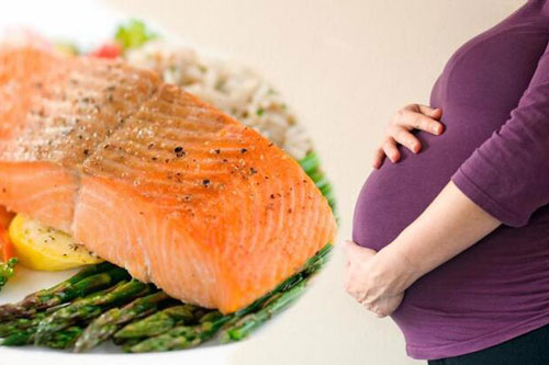 Loại cá nào bà bầu nên ăn trong thai kỳ?