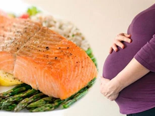 Loại cá nào bà bầu nên ăn trong thai kỳ?