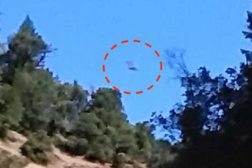 Nhận định bất ngờ về bí ẩn được quan tâm nhất trong lịch sử