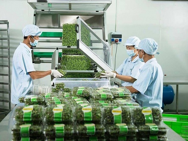 Giới thiệu sách mới về thị trường rau quả tươi Bắc Âu