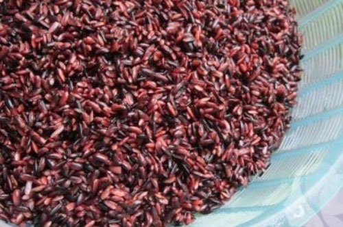 Cách làm rượu nếp cẩm thơm ngon cực đơn giản, không cần ủ lâu