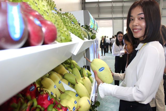 Thiết kế đầu ra cho ngành hàng xuất khẩu chủ lực