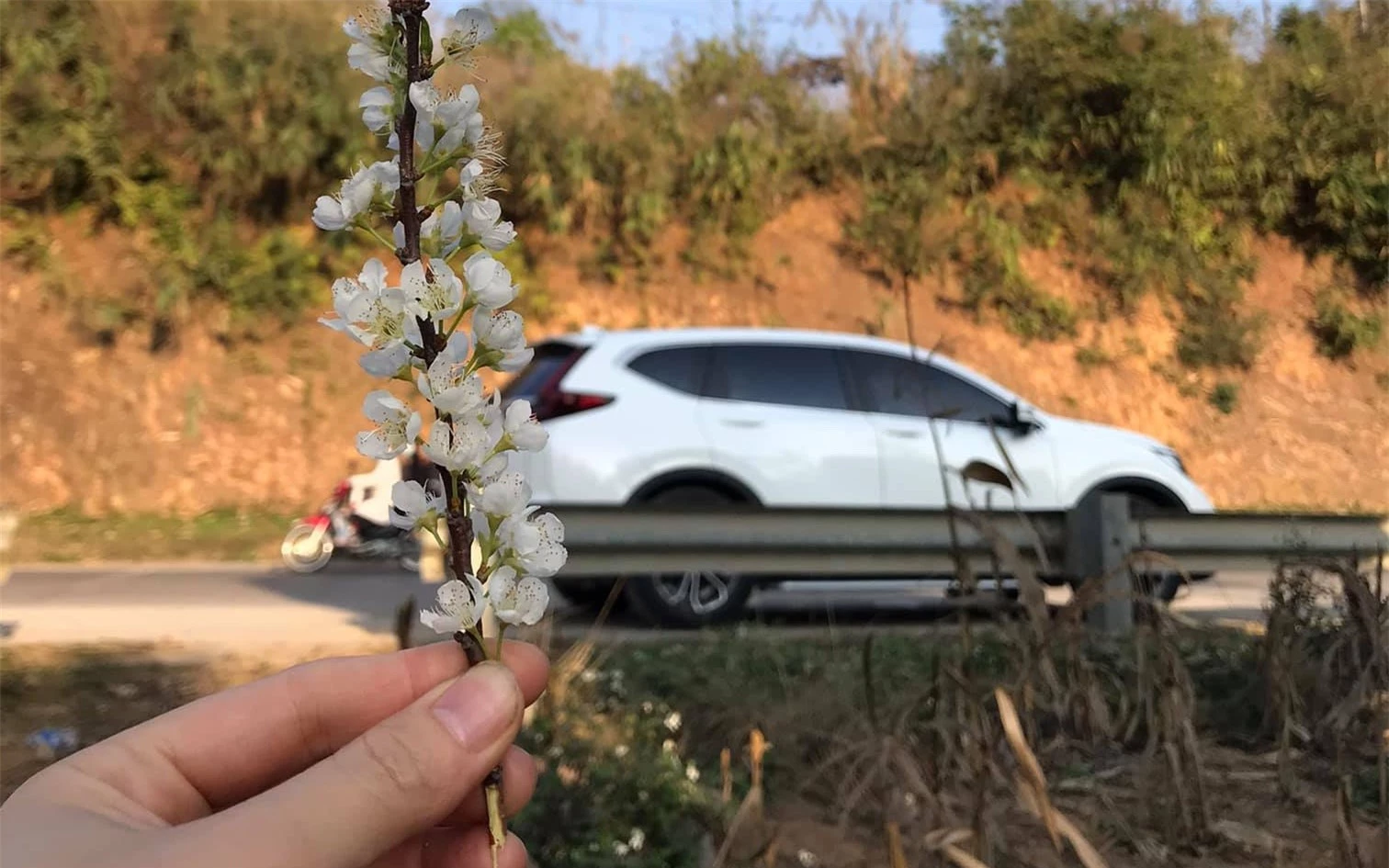 Cả gia đình đã có những chuyến đi đầu tiên cùng chiếc Honda CR-V 2020