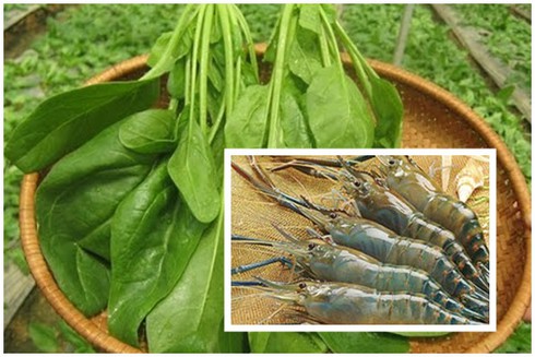 Nh&#x1EEF;ng th&#x1EF1;c ph&#x1EA9;m k&#x1EF5; nhau khi n&#x1EA5;u ch&#xE1;o cho b&#xE9;