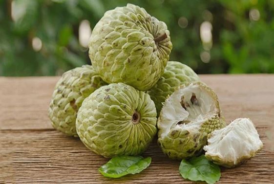 Loại quả ngon ngọt "vạn người mê" này có thể trị dứt điểm được 6 loại bệnh, nhưng khi ăn hãy cẩn trọng lược bỏ 1 bộ phận kẻo ngộ độc