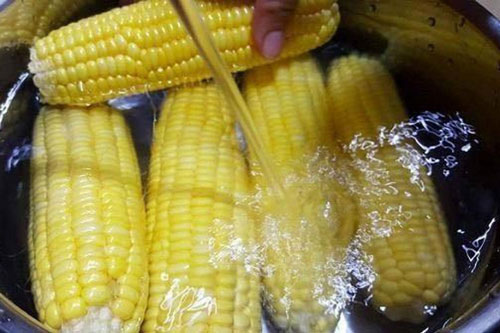 Bỏ thứ này vào luộc ngô giúp món ăn ngọt lừ, ai cũng chết mê chết mệt