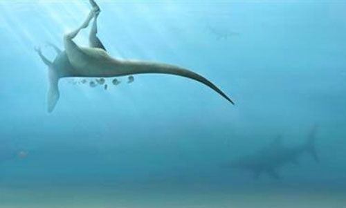 Phát hiện loài khủng long mới cùng họ hàng với khủng long bạo chúa