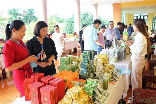 Đánh giá sản phẩm OCOP: Tuyệt đối không được làm xuê xoa