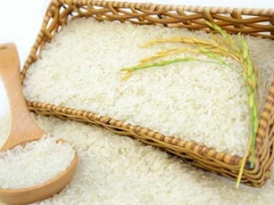 Mẹo bảo quản gạo cả năm không lo mọt mối
