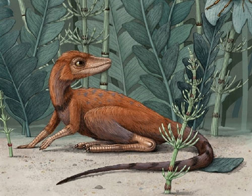 Sinh vật là tổ tiên của khủng long nhưng mang kích thước tí hon