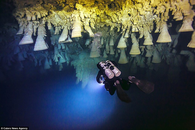 Chuông địa ngục trong hang động dưới nước