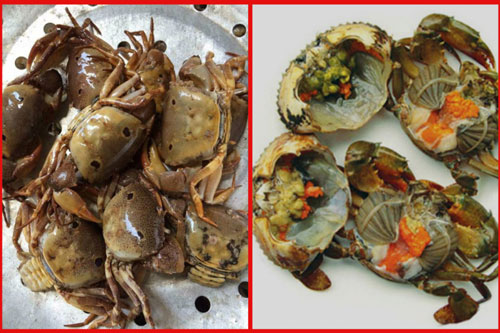 "6 kiêng 7 kị" khi ăn cua đồng ngày nắng nóng, có thèm đến mấy cũng phải giữ mồm giữ miệng kẻo mang hoạ