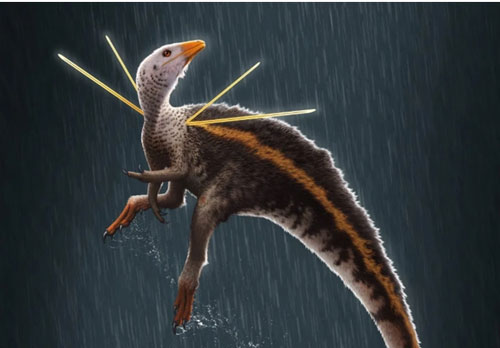 Loài khủng long có gai mọc tua tủa trên vai, thích nhảy múa tán tỉnh bạn tình