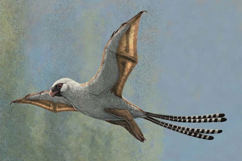 Bay kém, lướt gió nửa vời, loài khủng long có cánh sớm tuyệt chủng