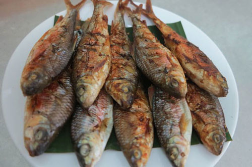 Cá mát sông Giăng - thứ đặc sản ngon nức tiếng của xứ Nghệ