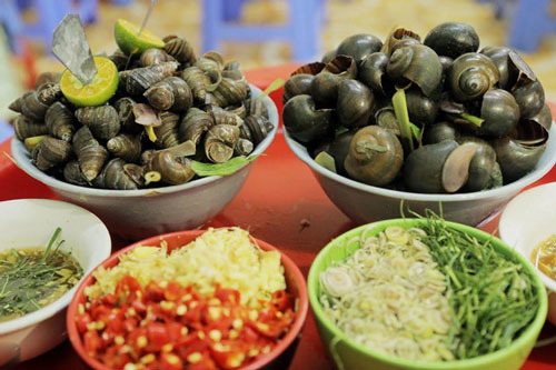 Luộc ốc cứ cho thêm thứ này vào, đảm bảo ốc giòn ngon hảo hạng lại không sợ mùi tanh