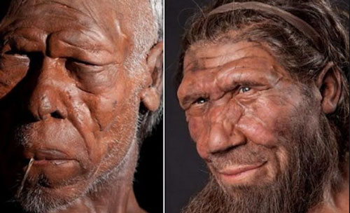 Người hiện đại khiến người Neanderthal tuyệt chủng