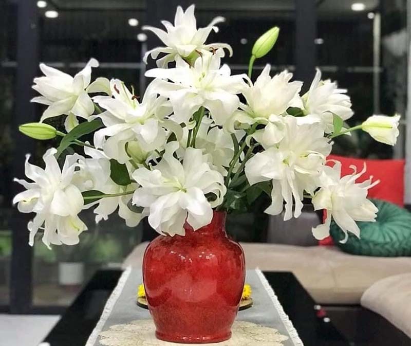 Ngất ngây với loại hoa ly siêu đắt đỏ được chị em sành chơi ráo riết lùng mua