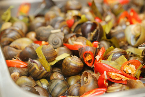 Thói quen rất hại khiến mang bệnh vào người khi chế biến ốc