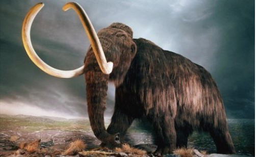 Vì sao người tiền sử bị diệt vong?