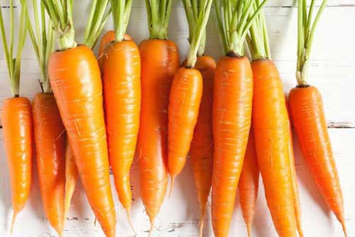 10 loại thực phẩm giúp cải thiện sức khỏe đôi mắt