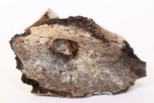 Bộ xương chàng trai quỳ gối tiết lộ lịch sử tục hỏa táng