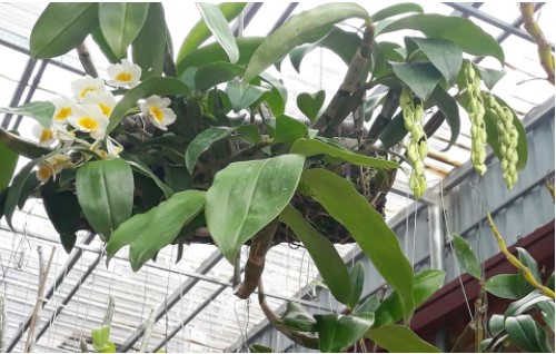 Đây là 3 điều không nên làm để có cuộc hôn nhân hạnh phúc