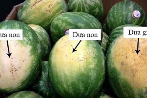 Cách chọn dưa hấu đỏ, ngọt chỉ cần nhìn duy nhất điểm này