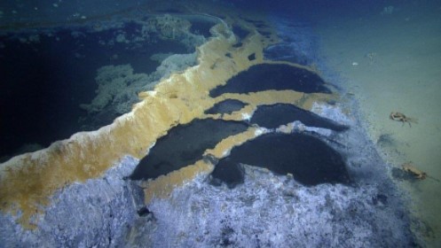 Hồ nước 'tử thần' có thể giết chết mọi sinh vật 