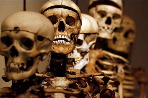 Ghé thăm bảo tàng tội phạm ở Italia