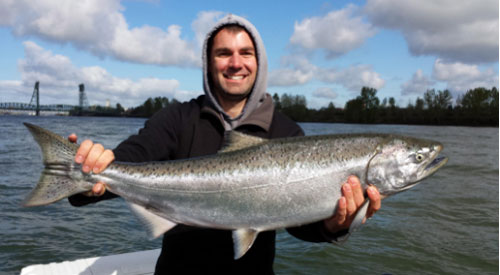 Cá hồi: Một hành giả phi thường