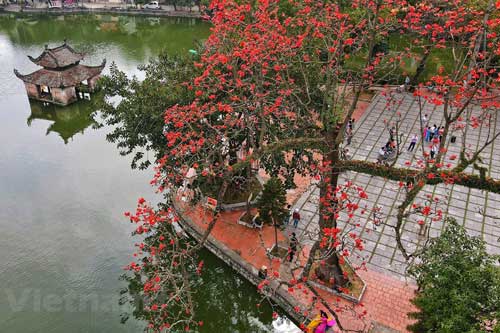 "Nao lòng" với cảnh sắc của chùa Thầy khi hoa gạo bung nở đỏ rực rỡ 