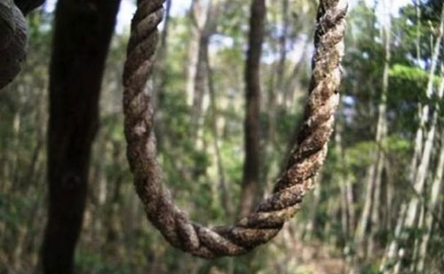 Khu rừng có hàng ngàn người ‘đua’ nhau vào tự sát